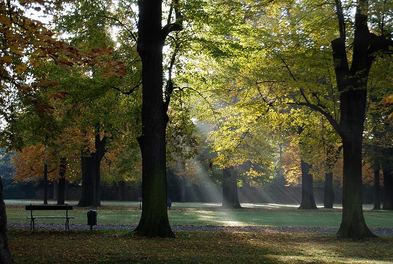 2009-10-26, Herbstfärbung (3).JPG